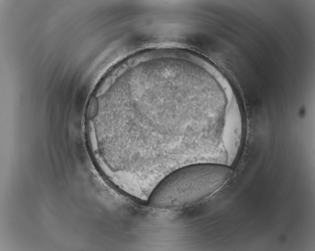 X0000115271189200912111156