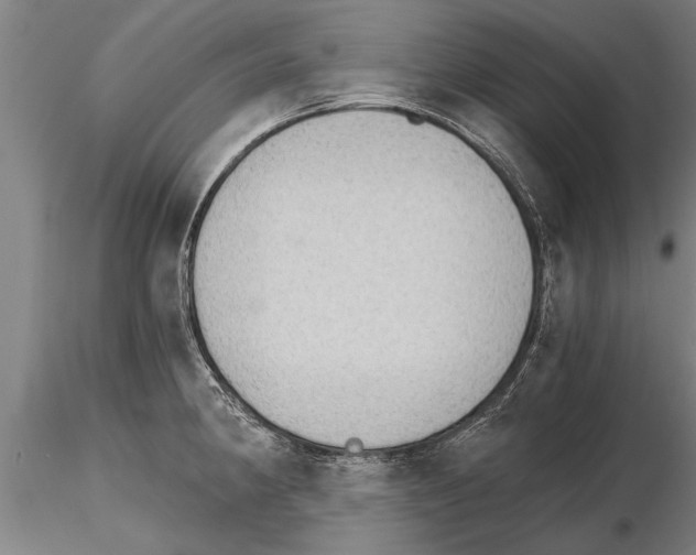 X0000115271190200912111156