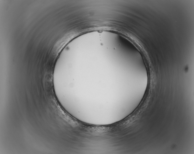 X0000115271193200912111156