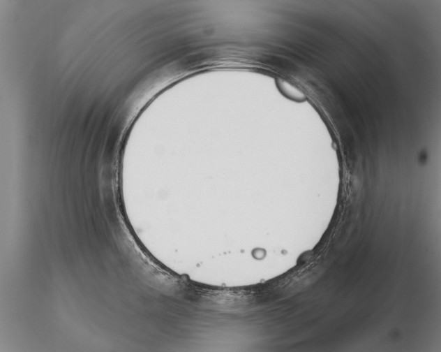 X0000115271195200912111156