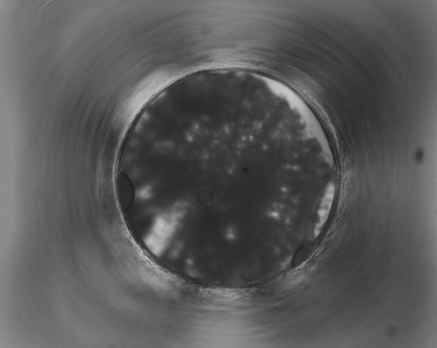 X0000115271197200912111156