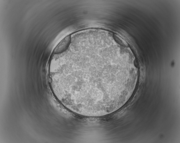 X0000115271198200912111156