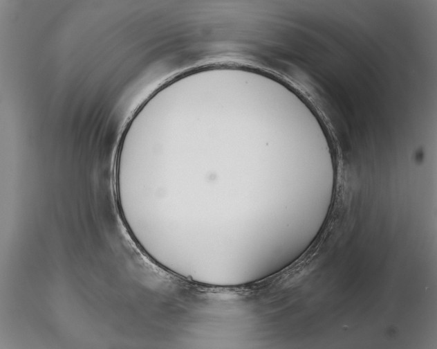 X0000115271199200912111156