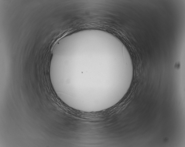 X0000115271201200912111155