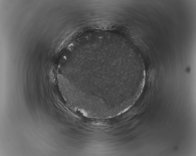 X0000115271202200912111155