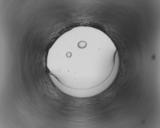 X0000115271203200912111155