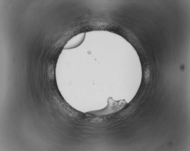 X0000115271204200912111155