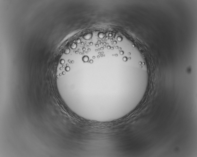 X0000115271206200912111155