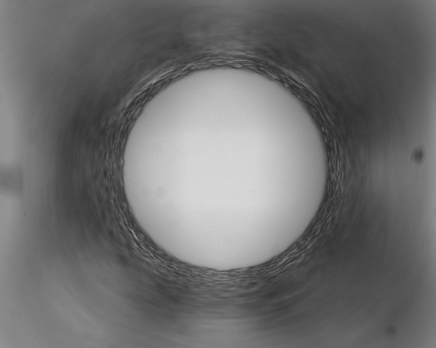 X0000115271207200912111155