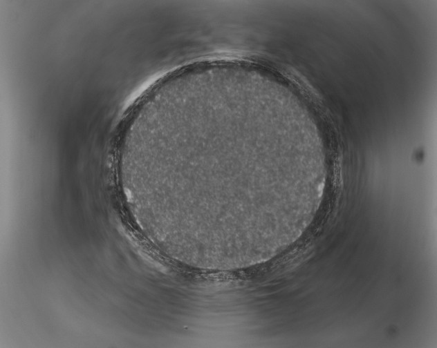 X0000115271208200912111155