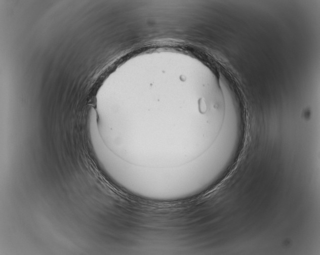 X0000115271209200912111155