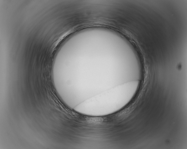 X0000115271210200912111155