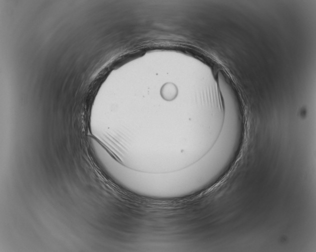 X0000115271211200912111155