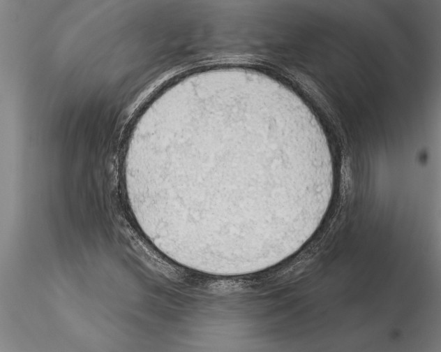 X0000115271212200912111155