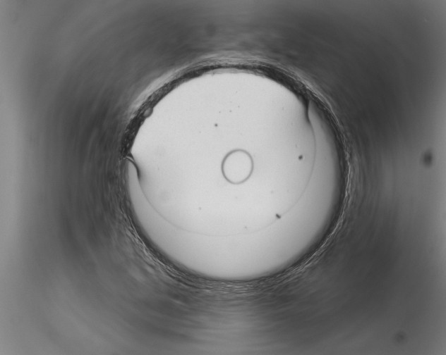 X0000115271213200912111155