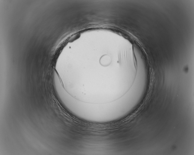 X0000115271215200912111155