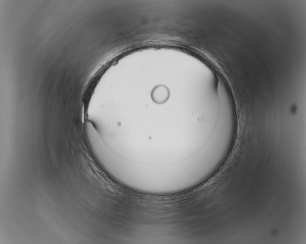 X0000115271219200912111155