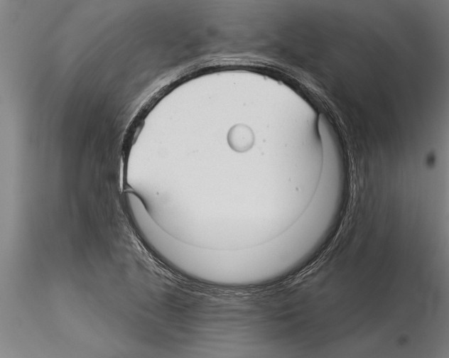 X0000115271221200912111155