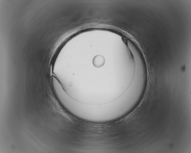 X0000115271223200912111155