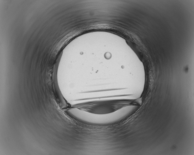 X0000115271225200912111155