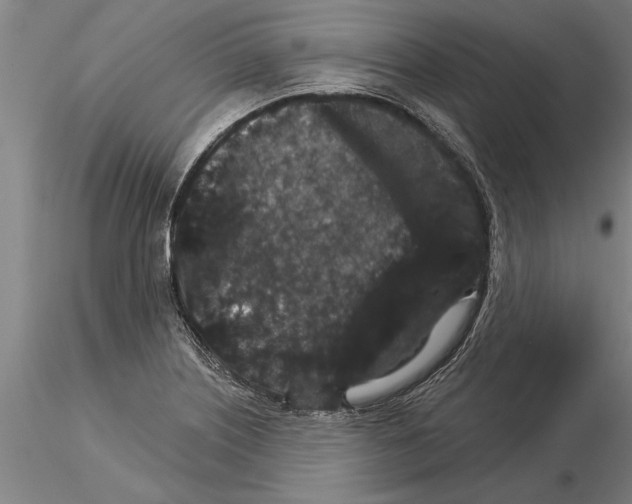 X0000115271226200912111155