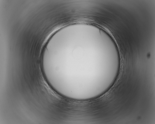 X0000115271227200912111155