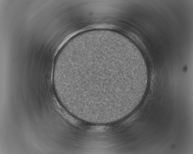 X0000115271228200912111155