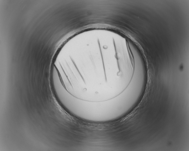 X0000115271229200912111156