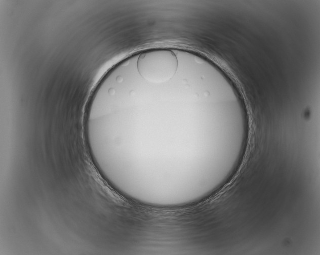 X0000115271230200912111156