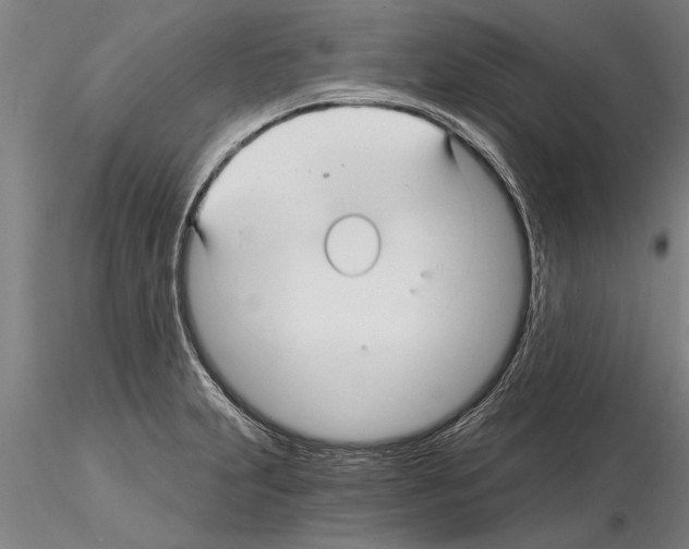 X0000115271231200912111156