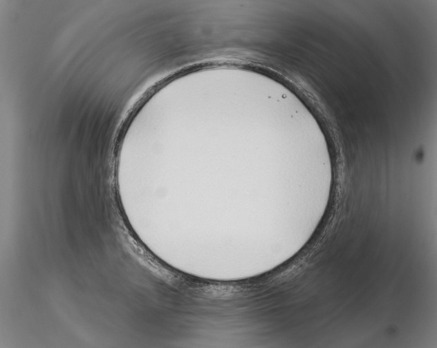 X0000115271232200912111156