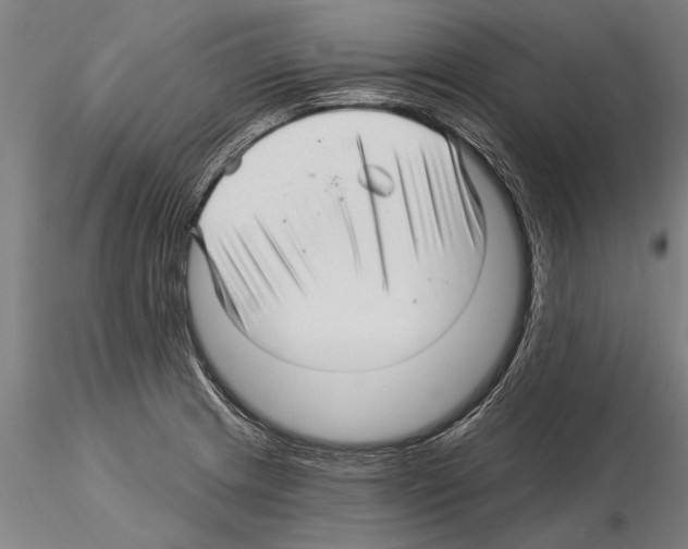 X0000115271233200912111156