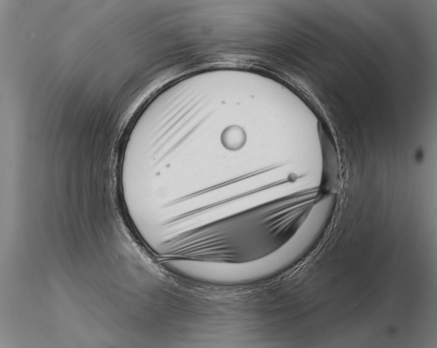 X0000115271235200912111156