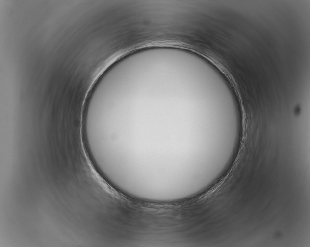 X0000115271237200912111156