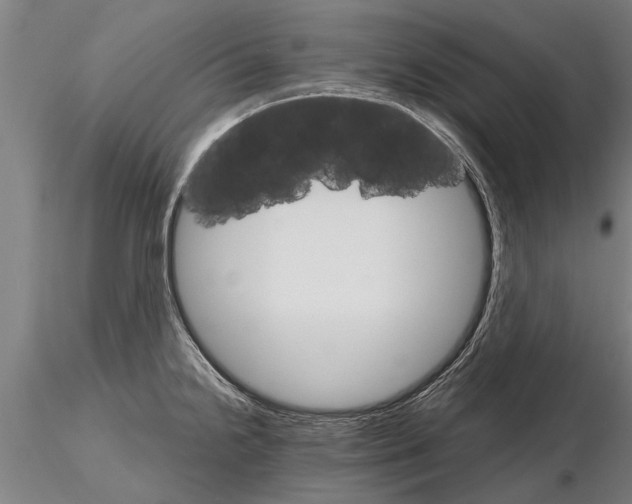 X0000115271238200912111156