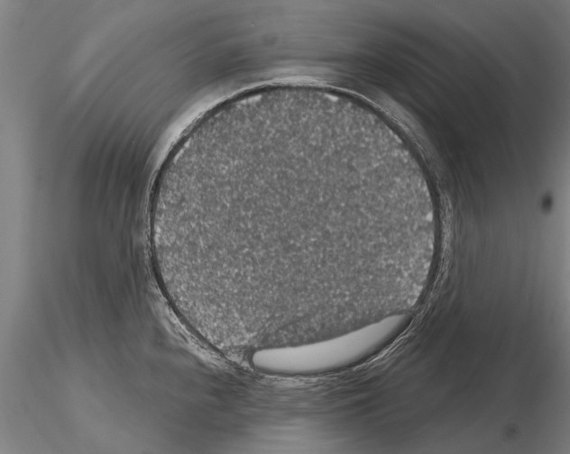 X0000115271240200912111156