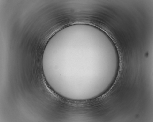 X0000115271241200912111156