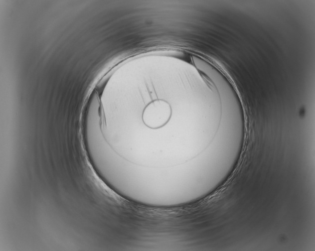 X0000115271243200912111156