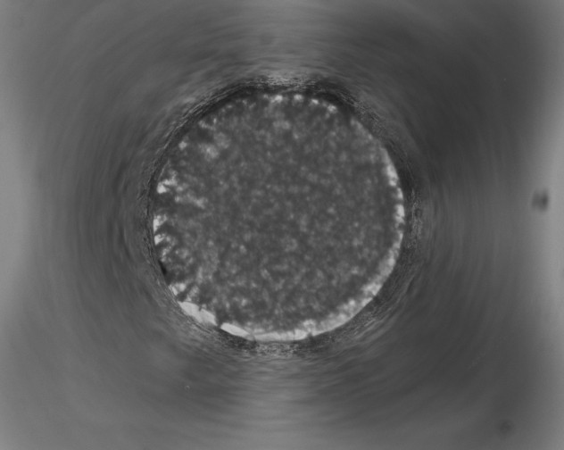 X0000115271249200912111155