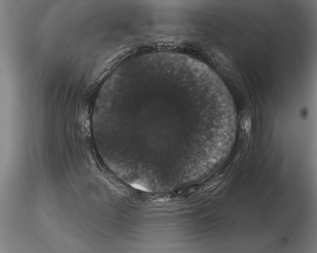 X0000115271252200912111155