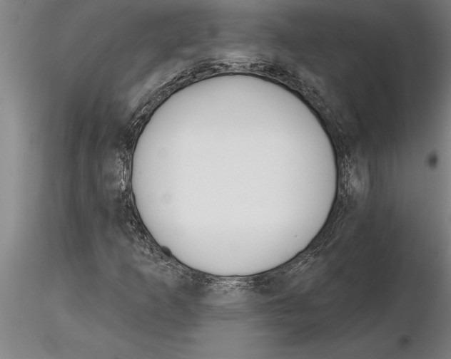 X0000115271253200912111155