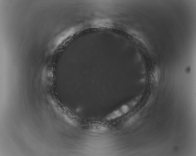 X0000115271254200912111155