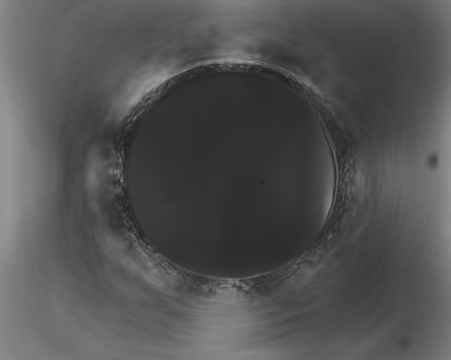 X0000115271255200912111155