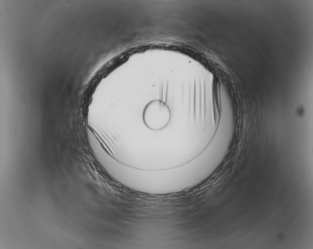 X0000115271256200912111155