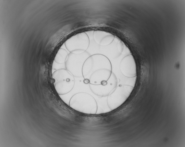 X0000115271257200912111155