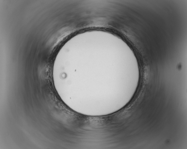 X0000115271258200912111155