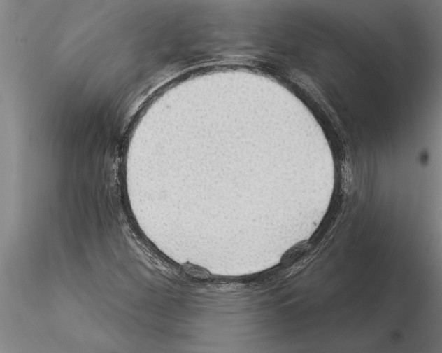 X0000115271260200912111155