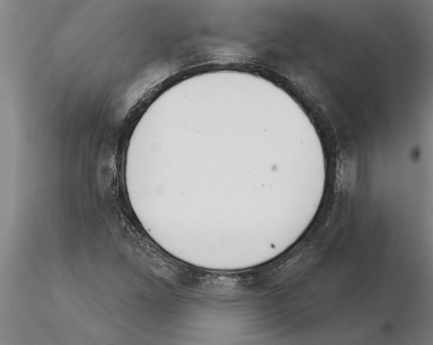 X0000115271261200912111155