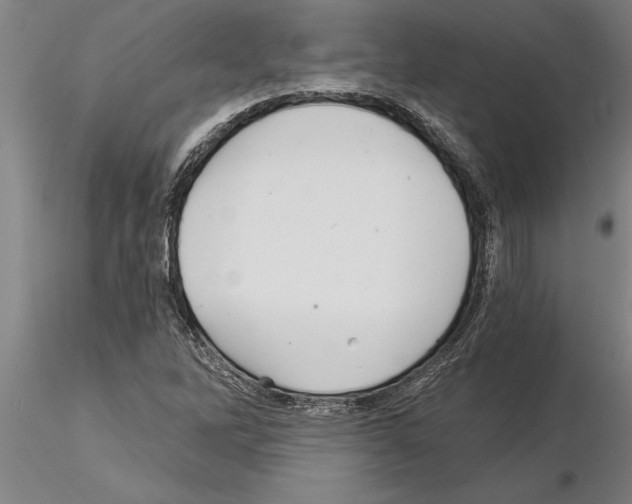 X0000115271262200912111155