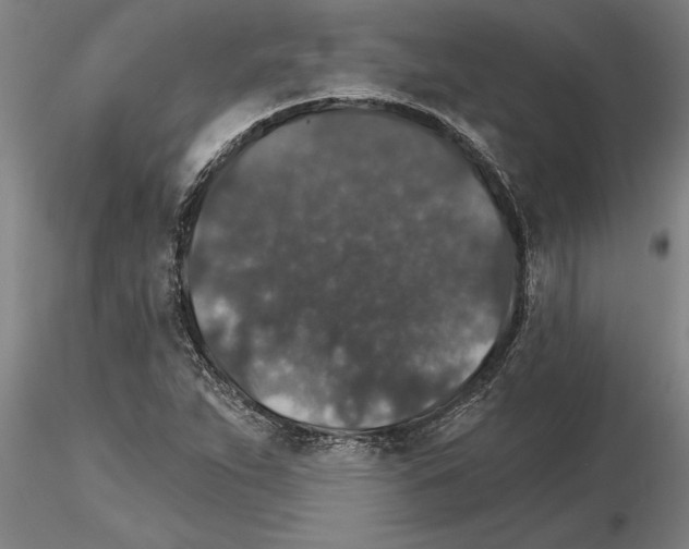 X0000115271263200912111155